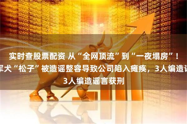 实时查股票配资 从“全网顶流”到“一夜塌房”!网红冠军犬“松子”被造谣整容导致公司陷入瘫痪,3人编造谣言获刑